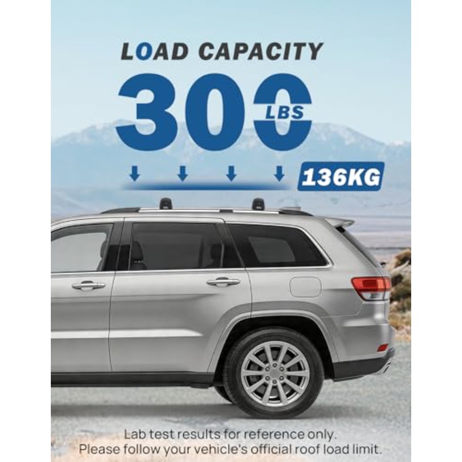 Dakdragers en WL 300LBS afslui - Cargo Rack Aluminum recensie en prijs